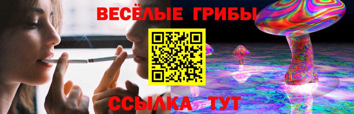 Печора  Галлюциногенные грибы Cubensis  Вход с VPN 