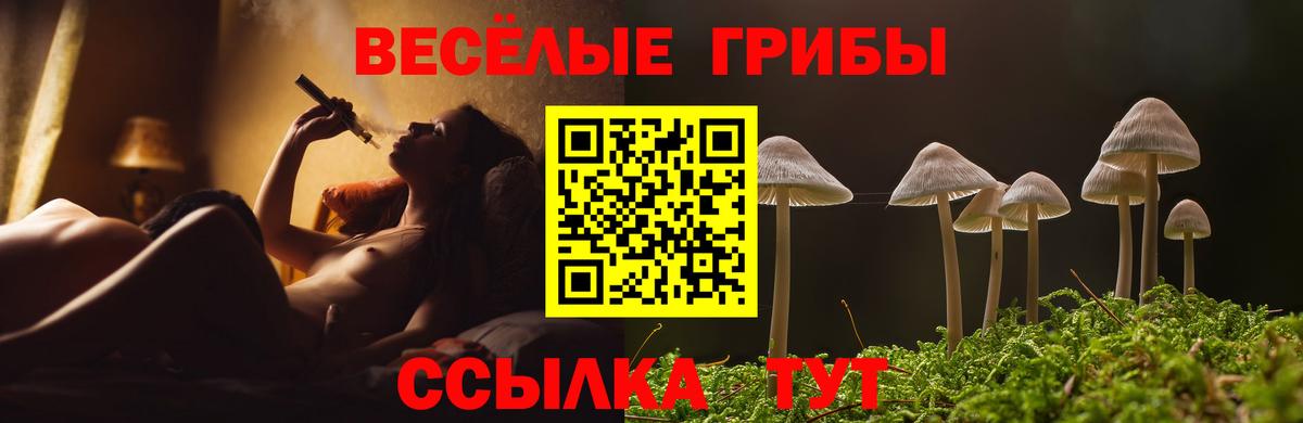 Галлюциногенные грибы Psilocybine cubensis Печора